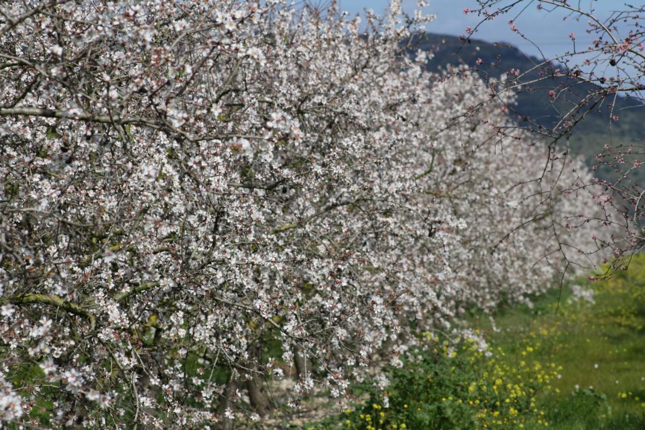 128 Finca Son Rossinyol Etv10657 By Mallorca Charme Villa Sineu  Exteriör bild